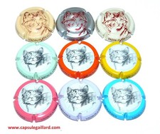 LOT DE 9 CAPSULES DE CHAMPAGNE - VADIN PLATEAU