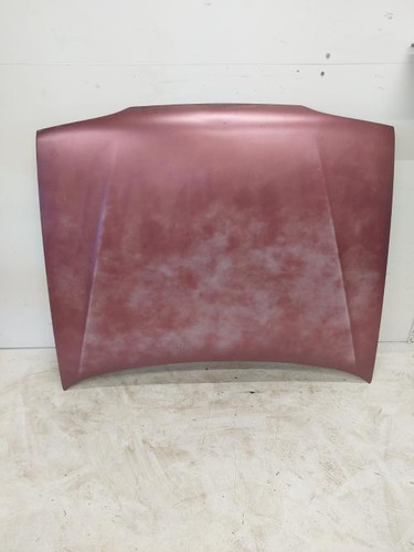 Capot renault r19 7751470908 - capot,