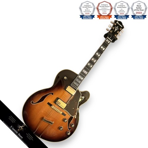 Guitare jazz ibanez - guitare,