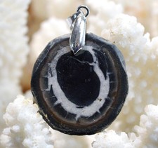 Septaria 51 carats - pendentif