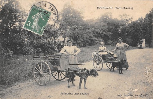 Cpa bourgueil menageres - 37,