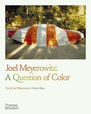 Joel Meyerowitz Joel Meyerowitz: A Question of Color (Poche)