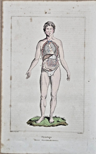 Gravure aquarellée xixe - gravure,