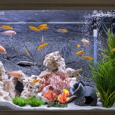 Résine d'aquarium sous-marin de la succursale de la succursale décoration