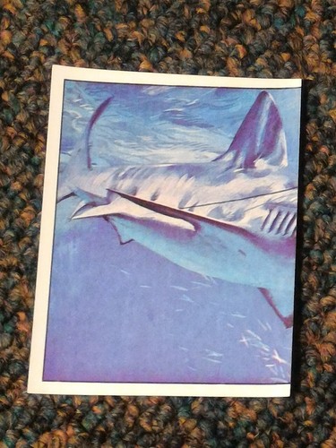 Panini animaux - **,