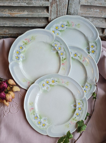Anciennes assiettes plates - anciennes,