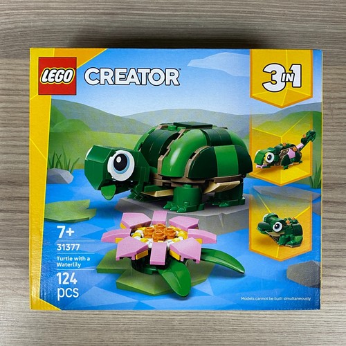 Tortue authentique avec - tortue, une