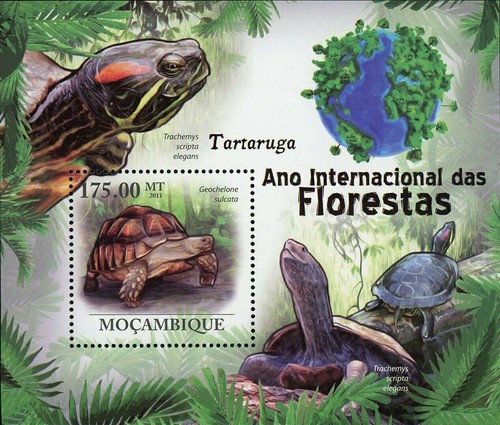 Turtles stamp geochelone - stamp,
