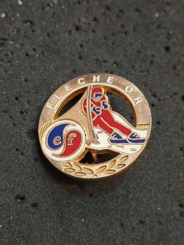 Rare pin insigne ski esf - insigne,
