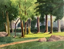 LE PEINTRE PAUL DENIS // DEBUT