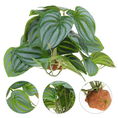 Plantes artificielles - plantes,