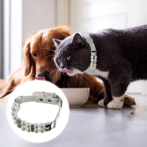 Collier bijoux pour animaux - bijoux,