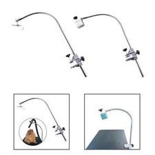 Chien de toilettage pour