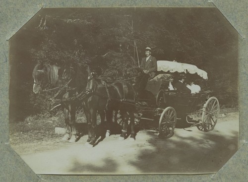 Attelage hippomobile voiture - attelage, hippomobile.
