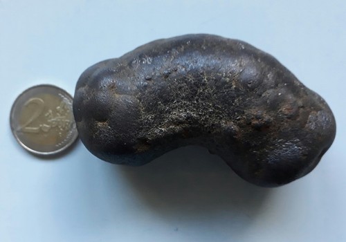 Fossile coprolithe dinosaure - fossile,