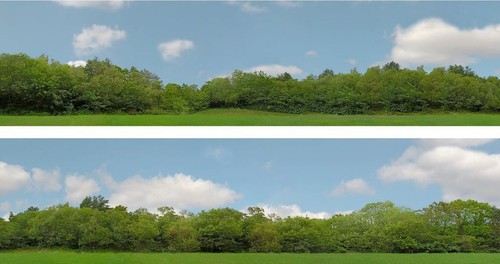 Scenic arrière plans arbres - arrière-plans,