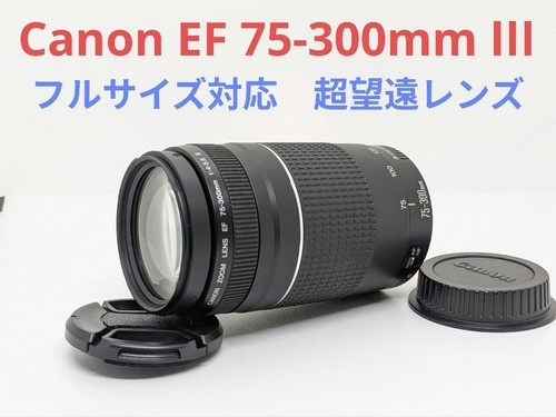 Objectif zoom canon 300 - objectif, ef