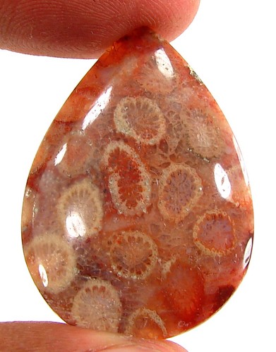 Cabochon pierre corail - de, en