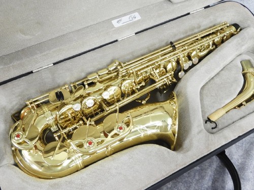 Yanagisawa 900μ alto - a-900μ,