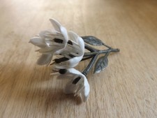 Bouquet de fleurs blanches
