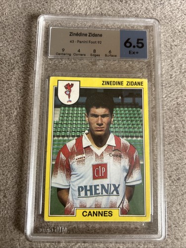 Panini foot zinedine zidane - panini,