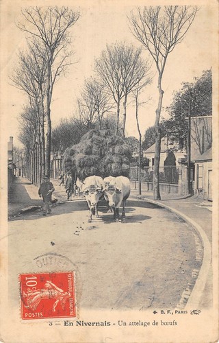 Cpa nivernais un - cpa, en