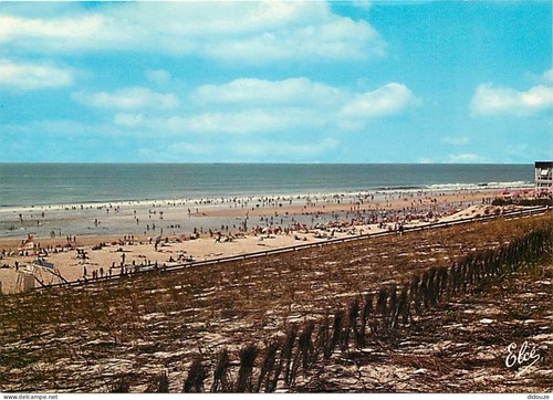 Carte postale lacanau - -,
