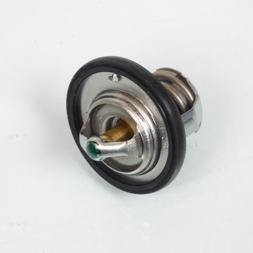 Thermostat tourmax pour - thermostat,