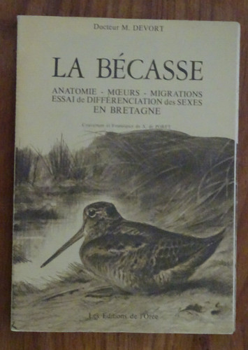 Bécasse anatomie mœurs - bécasse,