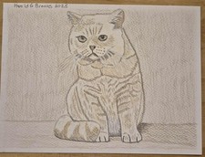 British Shorthair Cat Art