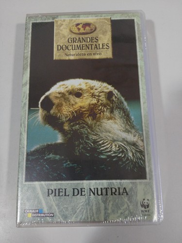 Peau oie grandes - d'oie,