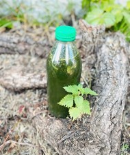 Purin d’orties, 1L Artisanal Normandie  BIO, engrais, naturel, potager et Jardin
