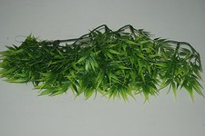 Vivarium Réaliste Plastique