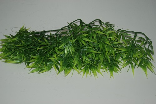 Vivarium réaliste plastique - réaliste,