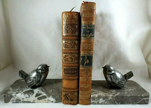 Paire oiseaux moineaux - d'oiseaux,