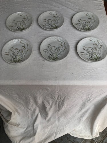 Assiettes plates - ,