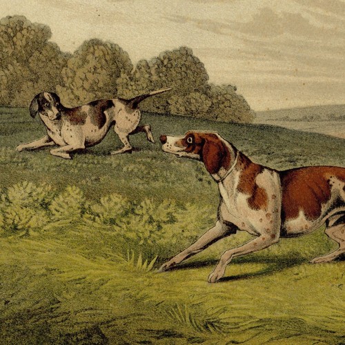 Henri alken chasse chien - alken,