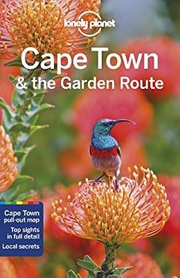 Lonely planet cape town the - town,