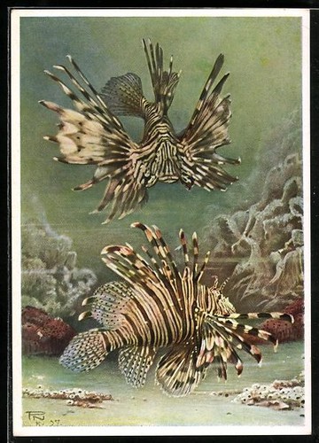 Carte postale artiste - carte, d'artiste