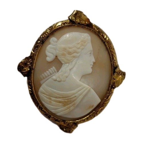 Camée coquille déesse - camée,