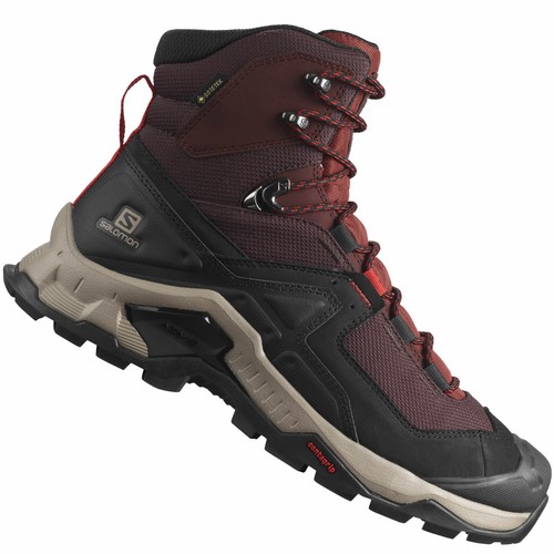 Salomon quête élément gtx - Élément,