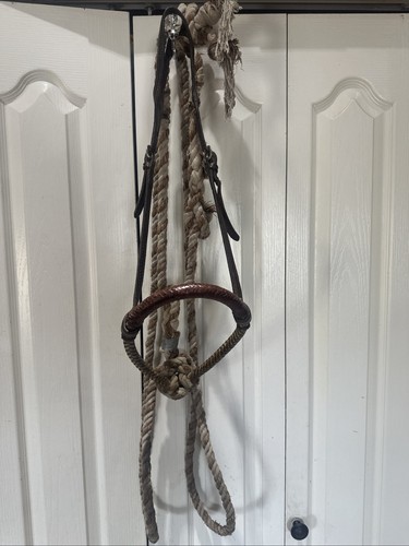 Vintage cowboy training - vintage,