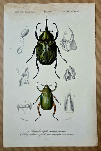 Gravure aquarellée gommée - ,