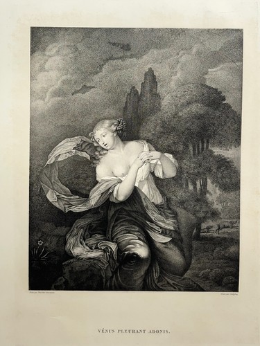 Venus pleurant adonis curiosa - venus,