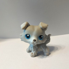figurine PETSHOP  original  chien colley  363  pet shop LPS