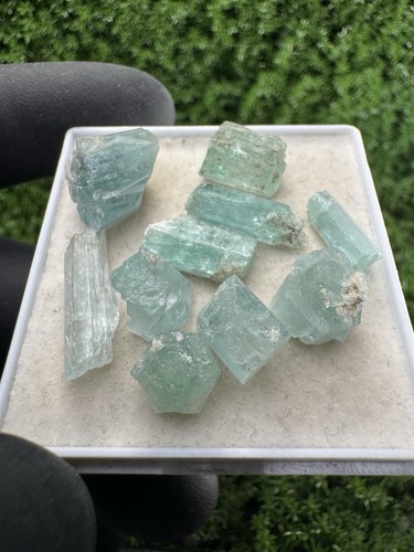 Rare lot aigue - rare,