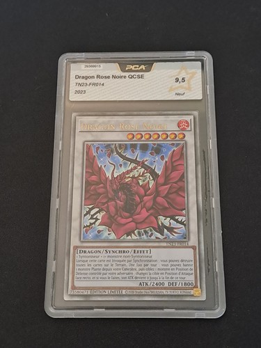 Dragon rose noire - dragon,