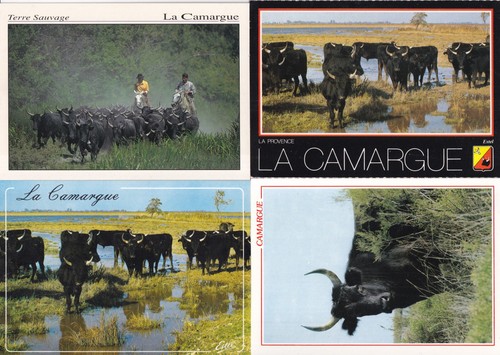 Lot cartes postales - lot, 4