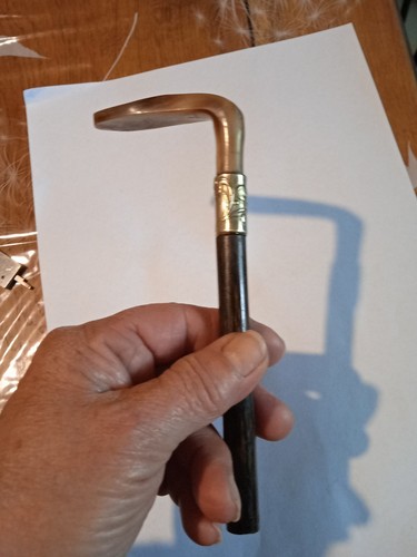 Pommeau canne corne - en,