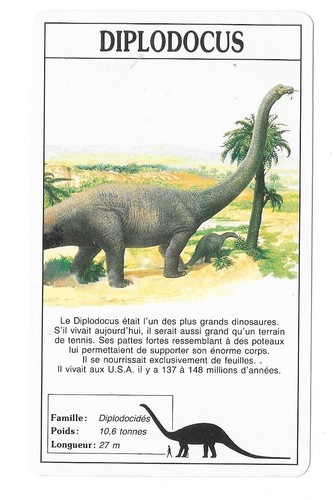 Carte ducale diplodocus - carte,